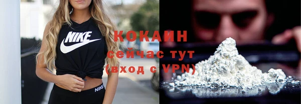 крисы Абаза