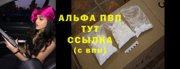 крисы Абаза