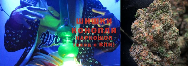 крисы Абаза