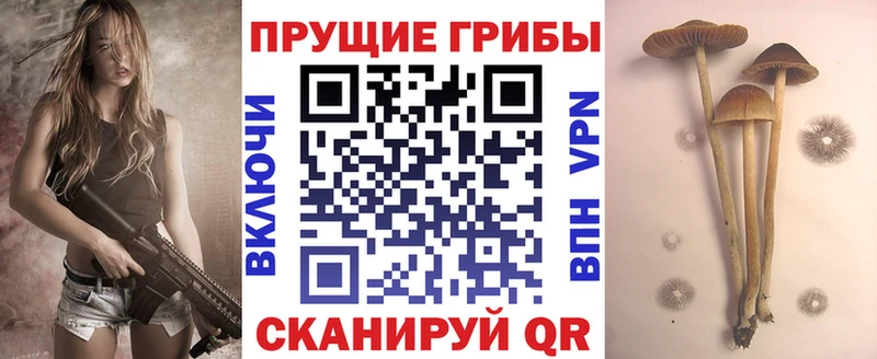 Галлюциногенные грибы GOLDEN TEACHER Ртищево