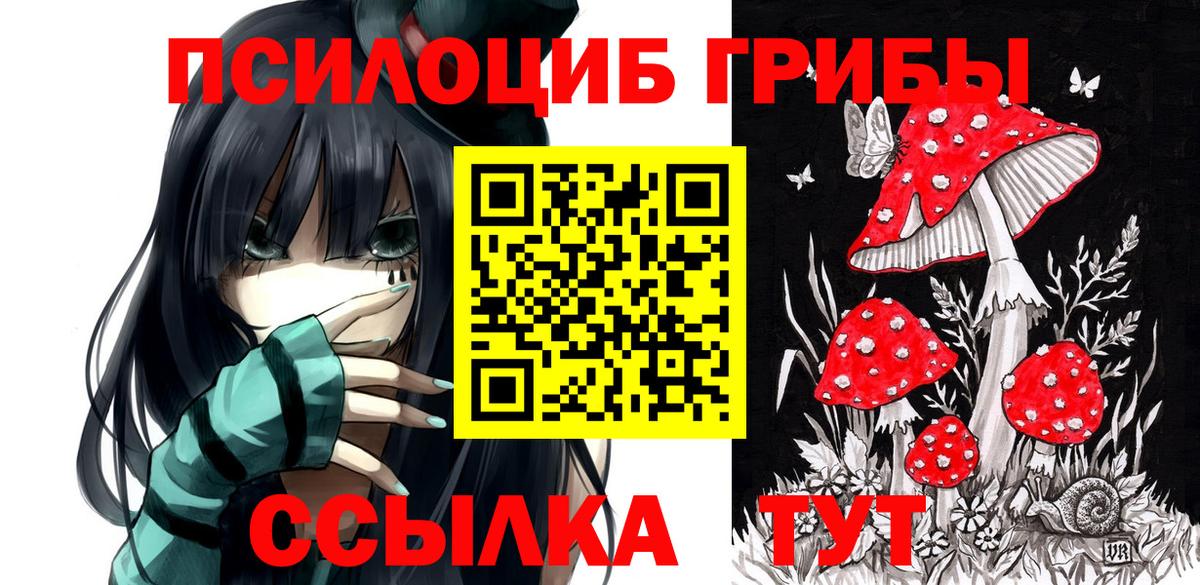 Ртищево  Псилоцибиновые грибы Cubensis  наркота  Вход с VPN  Галлюциногенные грибы MAGIC MUSHROOMS 